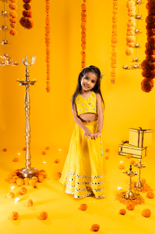 Sitara Halter Blouse Lehnga Set